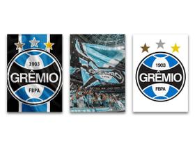 Kit 3 Placas Decorativas Gremio 30x20Cm