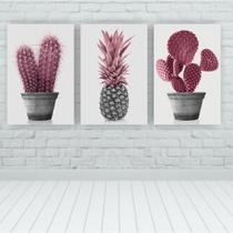 Kit 3 Placas Quadros Decorativos 20X30 Floral Cacto Rosa Kit 3 Placas Quadros Decorativos 20X30 Floral Cacto Rosa