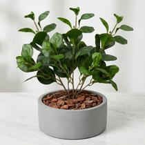 Kit 3 Plantas Artificiais Peperômia Premium 65cm para Decoração de Sala Jardim Vertical e Escritório Kit 3 Plantas Artificiais Peperômia Premium 65cm para Decoração de Sala Jardim Vertical e Escritório