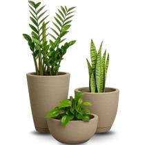Kit 3 Plantas Para Kit 3 Vasos Polietileno Para Decoração