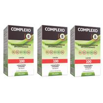 Kit 3 Polivitaminico Suplemento De Vitaminas Complexo B, 100 Comprimidos - Arte Nativa