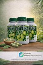 kit 3 Pote Oliveira 60 Cápsulas de 500 mg