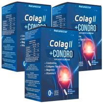 Kit 3 Potes Colag II + Condro Suplemento Alimentar Natural 180 Capsulas Colágeno Tipo 2 100% Puro Vitamina Original Premium - Natunectar