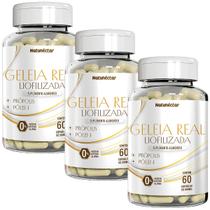 Kit 3 Potes Geleia Real Liofilizada Própolis Suplemento Alimentar Natural 180 Capsulas Pura Premium