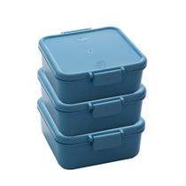 Kit 3 Potes Herméticos Com Tampa Plástico Resistente Marmita Freezer Microondas Vedação Tampa Click