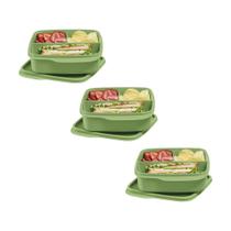 Kit 3 Potes Herméticos Tupperware Basic Line Divisória Verde 550ml