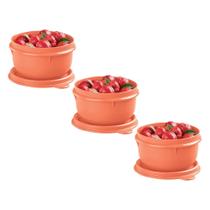 Kit 3 Potes Tupperware Tigelinha Pêssego 250ml