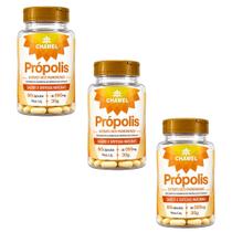 Kit 3 Própolis Extrato Seco 60 Cápsulas 550mg Chamel Kit 3 Própolis Extrato Seco 60 Cápsulas 550mg Chamel