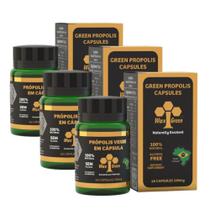 Kit 3 Própolis Verde 85% Wax Green 60 Cápsulas 500mg