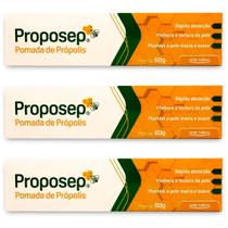 Kit 3 Proposep Pomada de Própolis Hidratante 60g Arte Nativa