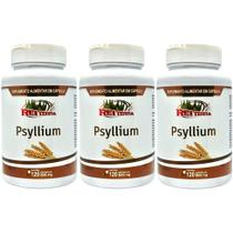 Kit 3 Psyllium 360 500mg Cápsulas - Rei Terra