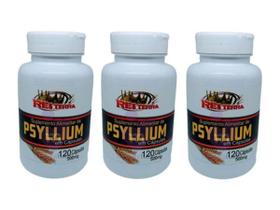 Kit 3 Psyllium 500mg 120 Cápsulas