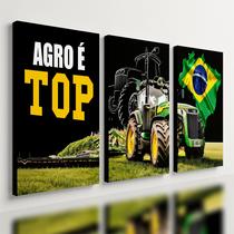 Kit 3 Quadro Decorativo Agro É Top Trator Brasil 40x28cm