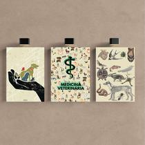 Kit 3 Quadro Decorativo Medicina Veterinária Consultório