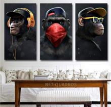 Kit 3 Quadros 3 Macaco Gangue Dos Macacos 3 Peças