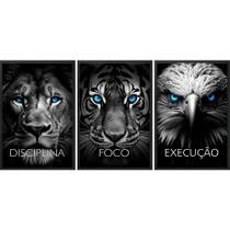 Kit 3 Quadros Animais Disciplina Foco Execução 33x24cm - com vidro