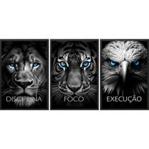 Kit 3 Quadros Animais Disciplina Foco Execução 33X24Cm Vidro