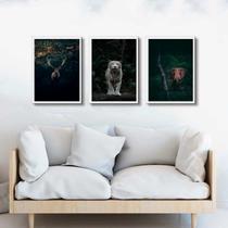 Kit 3 Quadros Animais- Vida Selvagem 33x24cm - com vidro Kit 3 Quadros Animais- Vida Selvagem 33x24cm - com vidro