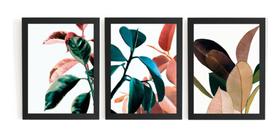 Kit 3 Quadros Arte Plantas Decorativas Perfeito Pra Sala