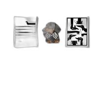 Kit 3 Quadros Cão Raça Dachshund - Salsicha 24X18Cm - Vidro Kit 3 Quadros Cão Raça Dachshund - Salsicha 24X18Cm - Vidro