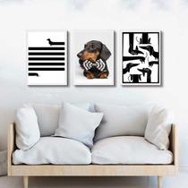 Kit 3 Quadros Cão Raça Dachshund - Salsicha 33X24Cm Kit 3 Quadros Cão Raça Dachshund - Salsicha 33X24Cm