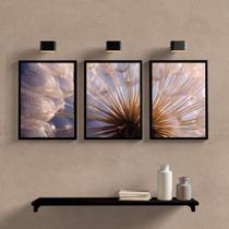 Kit 3 Quadros Complementares Dente Leão 33X24Cm Vidro Preta Kit 3 Quadros Complementares Dente Leão 33X24Cm Vidro Preta