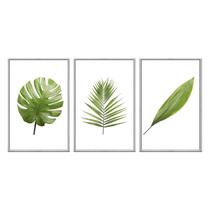 Kit 3 quadros decorativos 40x60cm canvas folhas tropicais verde claro flnt008