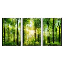 Kit 3 quadros decorativos 60x80cm vidro bosque raio de sol flnt011
