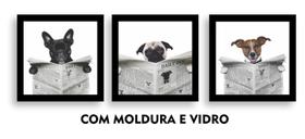 Kit 3 Quadros Decorativos Banheiro Toalete Lavabo Dog Jornal
