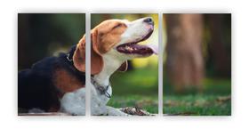 Kit 3 quadros decorativos cachorro beagle pet dog mdf 20x29