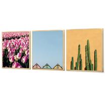 Kit 3 Quadros Decorativos Chalés Coloridos Cactos Jardim