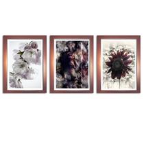 Kit 3 Quadros Decorativos Com Moldura Rose Alma Flores Kit 3 Quadros Decorativos Com Moldura Rose Alma Flores