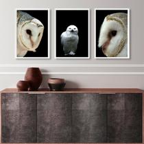 Kit 3 Quadros Decorativos Fotografias Corujas Brancas 24x18cm