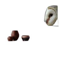 Kit 3 Quadros Decorativos Fotografias Corujas Brancas Kit 3 Quadros Decorativos Fotografias Corujas Brancas