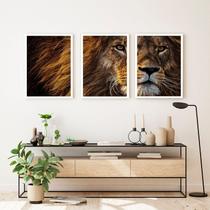 Kit 3 Quadros Decorativos Leão 60x40 para Sala Quarto Hall