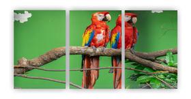 Kit 3 quadros decorativos papagaios casal animal sala quarto