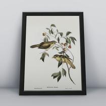 Kit 3 Quadros Decorativos Passarinhos Animais Molduras 30x40 Kit 3 Quadros Decorativos Passarinhos Animais Molduras 30x40