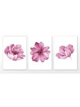 Kit 3 Quadros Decorativos Placas Sala Quarto Cozinha Decoração Casa Pintura Flores Rosa 20x30