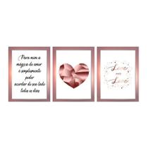 Kit 3 Quadros Decorativos Rose Para Sala Quarto Casal