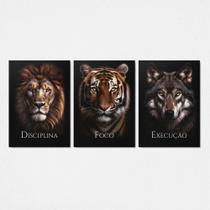 Kit 3 Quadros Disciplina Foco Execução Leão Tigre 28x40cm Kit 3 Quadros Disciplina Foco Execução Leão Tigre 28x40cm