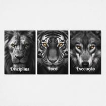 Kit 3 Quadros Disciplina Foco Execução Motivacional 28x40cm Kit 3 Quadros Disciplina Foco Execução Motivacional 28x40cm
