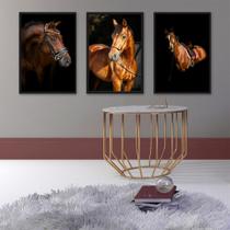 Kit 3 Quadros Fotografias Cavalos 33x24cm Kit 3 Quadros Fotografias Cavalos 33x24cm
