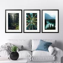 Kit 3 Quadros Grandes Florestas - 60x48cm