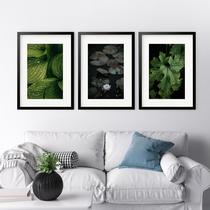 Kit 3 Quadros Grandes Folhas - 60x48cm Kit 3 Quadros Grandes Folhas - 60x48cm