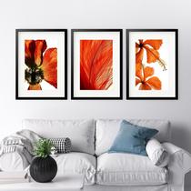 Kit 3 Quadros Grandes Orange - 60x48cm