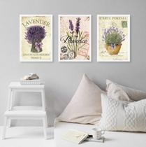 Kit 3 Quadros Lavanda Francesa Provence 45x34cm - com vidro