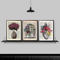 Kit 3 Quadros Medicina Anatomia Flores 24x18cm - com vidro