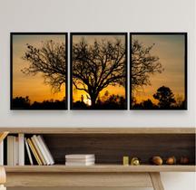 Kit 3 Quadros Paisagem Árvore PorDoSol 45x34cm - com vidro