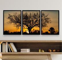 Kit 3 quadros paisagem árvore sol 33x24cm - vidro branco