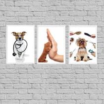 Kit 3 Quadros Para Clínica Veterinária 33X24Cm - Com Vidro Kit 3 Quadros Para Clínica Veterinária 33X24Cm - Com Vidro